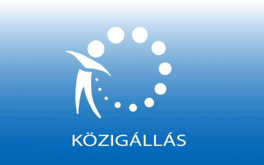 Pályázati kiírás intézményvezető beosztás ellátására