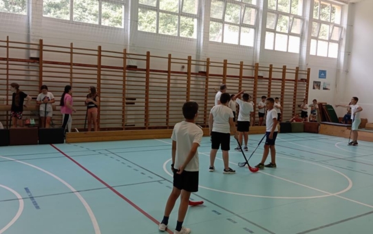 Floorball